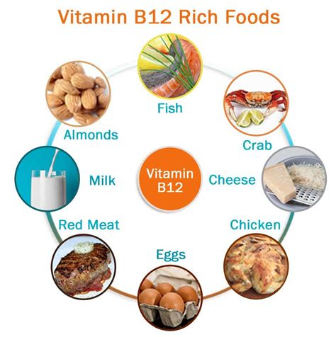 Some Of Rich Foods That Provides Vitamin B12 B12 Rich Foods Vitamin
