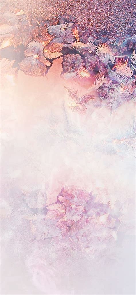An Abstract Photo Of Pink And Purple Flowers