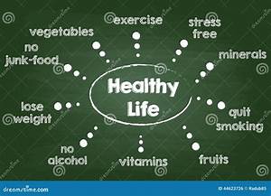 Healthy Lifestyle Chart Stock Vector Image Of Healthy 44623726