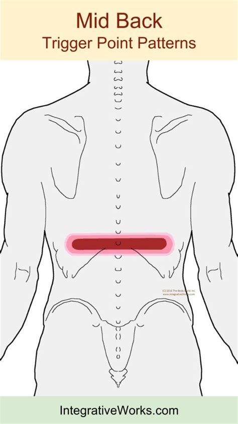 Mid Back Pain That Extends Up And Around Integrative Works
