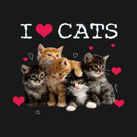 I Love Cats I Love Kittens Cat Lover T Shirt I Love Cats I Love Kittens Cat Lover T Shirt