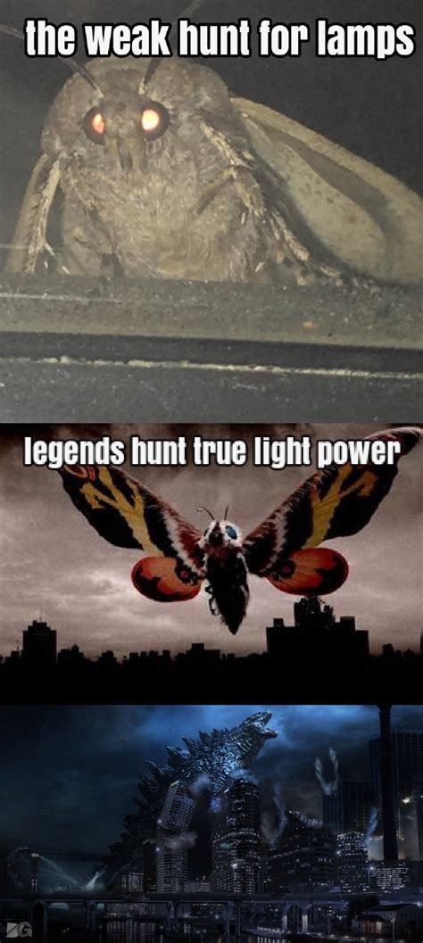 The Best Mothra Memes Memedroid