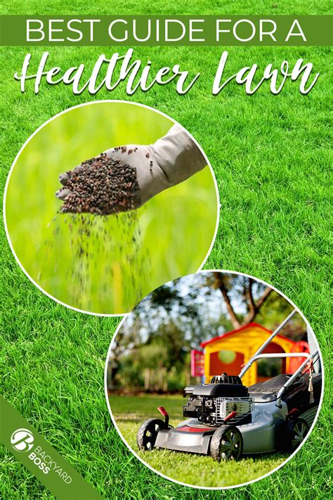 Lawn Care Tip Guide For A Healthy Lawn In 2020 Healthy Lawn Lawn