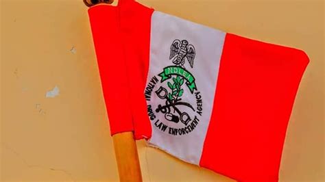 If you you need to log on to the national drug law enforcement agency (ndlea) employment portal from here NDLEA arrests suspect with 135kg of hemp in Kano | The ...