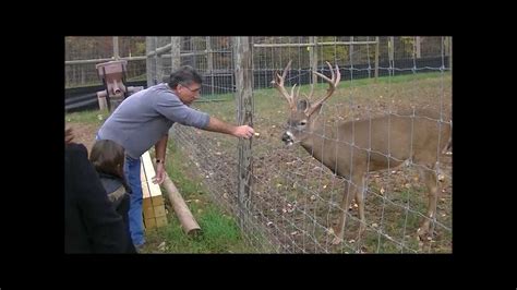 Whitetail Deer Farm Hollow Road Whitetails Pa Youtube