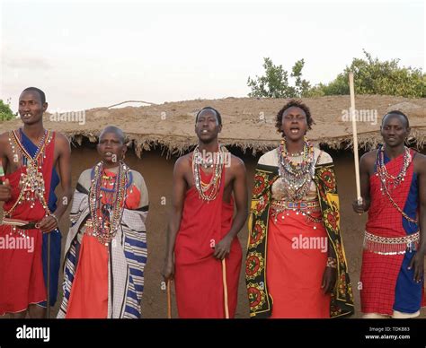 Women And Masai Jewelry Hi Res Stock Photography And Images Alamy
