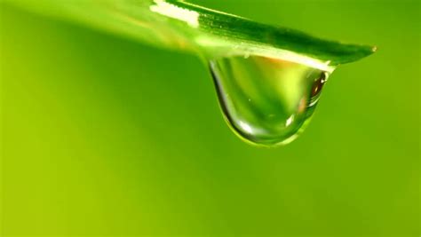 Drop definition/meaning