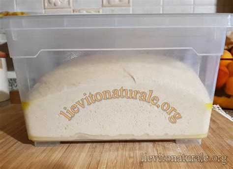 Il pane in realtà indica tutt'altro: Pane della Toscana con farine integrali di grano Verna e ...