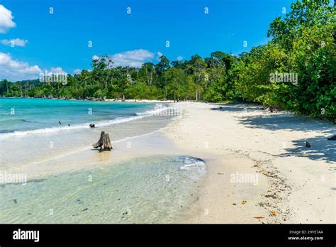 Elephant Beach Havelock Island Andaman India Stock Photo Alamy