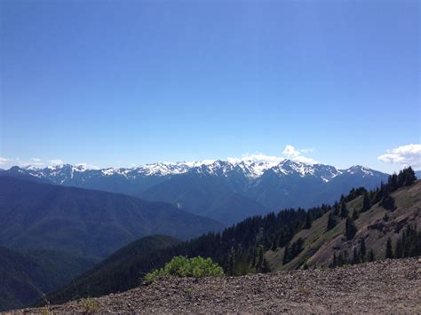 Hurricane Ridge Olympic National Park National Parks Olympic