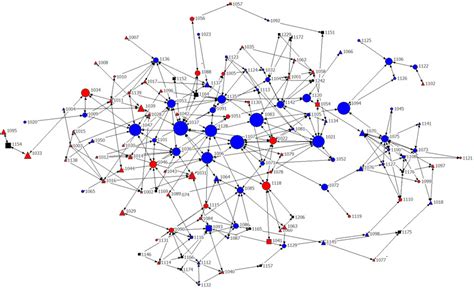Fig. 9. Money exchange network showing betweenness centrality, wealth ...