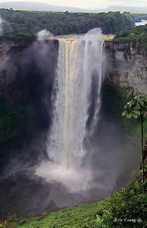 Kaieteur Falls Guyana One Of The Most Powerful Waterfalls In The World Waterfall