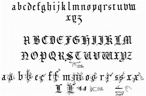 This blackletter font includes web fonts, ligatures, and multilingual. Inspiring Designs: The Basics of Type