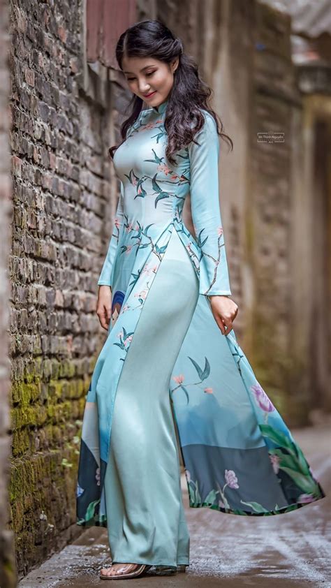 Vietnamese Traditional Dress Traditional Dresses Indian Dresses