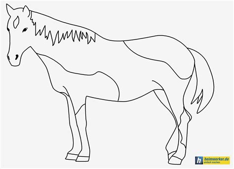 Kostenlose malvorlagen für kinder ab 2 jahren kreativität beim malen entwickeln hier ausmalbilder für kleinkinder ab 2 jahren gratis ausdrucken Boxenschilder Für Pferde Vorlagen Erstaunlich Pferde - Ausmalbilder Für Pferdefreunde | Vorlage ...