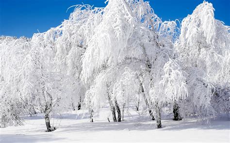High Definition Colourfull Landscapes Snow Landscape