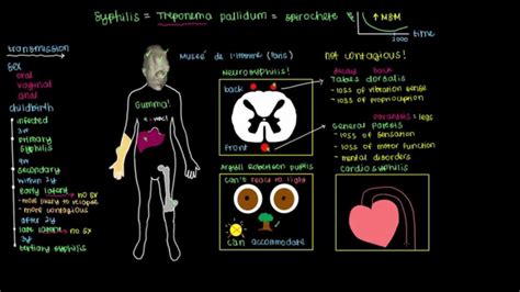 Primary, secondary, latent, congenital, neurosyphilis and. What is Tertiary Syphilis? - YouTube