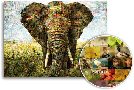 Daher solltest du auch bei deiner foto collage einen rand anlegen. Mosaico fotos - ¡Ahora tienes con hasta 1000 fotos!