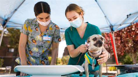 A Paw-sitive Learning Experience - Cal Poly Magazine