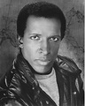 Dorian Harewood's Biography - Wall Of Celebrities