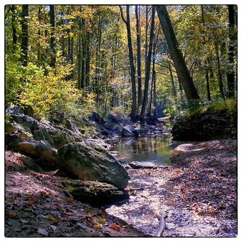 Maybe you would like to learn more about one of these? Flickriver: Photos from Cabin Creek, West Virginia, United ...