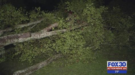 Storms Knock Down Trees Power Lines In Lake City Wjax Tv