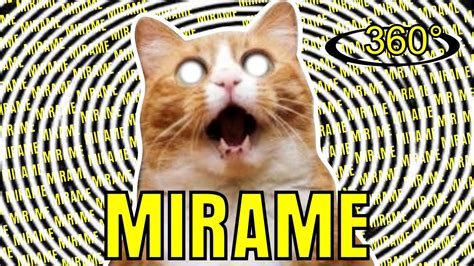 I couldn't help but to include the original cat lawyer video too. BEST DANK CAT MEMES COMPILATION OF 2020 360° (FUNNIEST ...