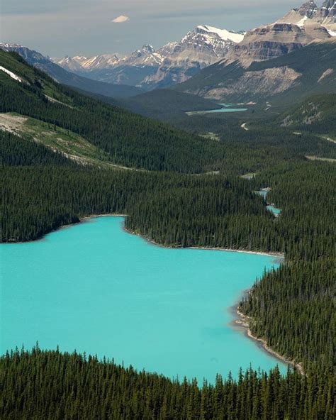 Turquoise Lake In The Canadian Rockies Oddlysatisfying