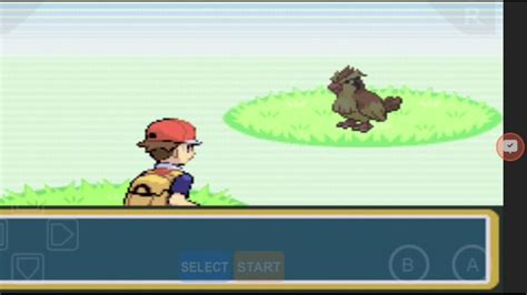 Sao sebastiao do cai, brazil. Pokemon fire red #2 - YouTube