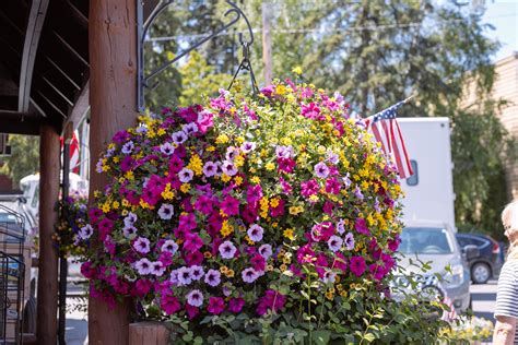 Baskets & Containters — Flathead Flowers