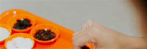 Artisanal Chocolate Crafting Experience at Sorga Chocolate Bali - Klook