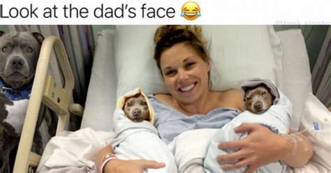 These 23 Hilarious Dog Memes Are Only Funny If You Have A