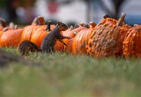 IURC approves 200% CenterPoint 'bill tracker' rate hike