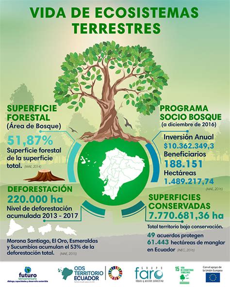 Infografía Nacional Vida de ecosistemas terrestres ODS