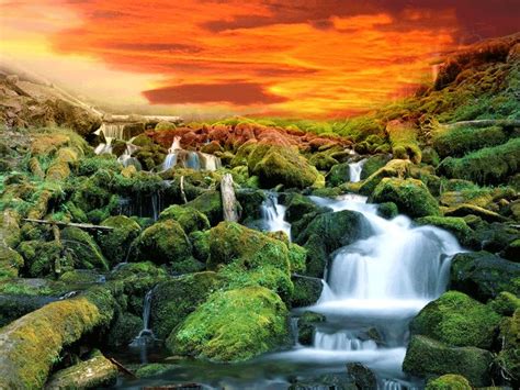 Eveything is made for the community with love <3. free animated gif wallpaper download - Google Search ...