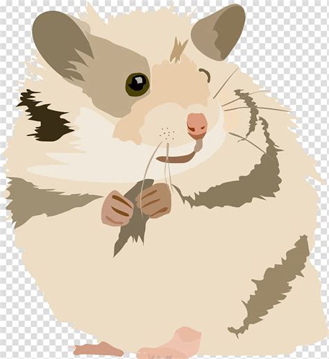 Golden Hamster Gerbil Mouse Rodent Cute Gerbils Transparent Background