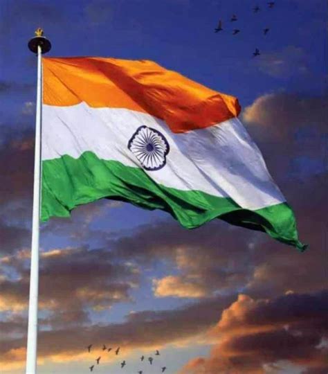 Share 137 Independence Day Tiranga Wallpapers Best Vn