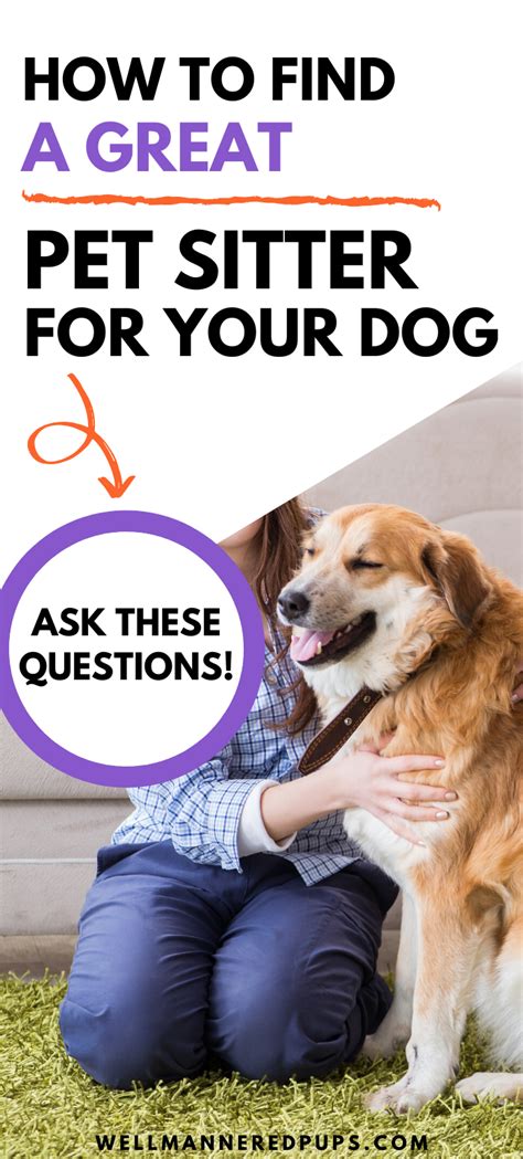 How To Find A Great Pet Sitter For Your Dog Pet Sitters Sitter Dog