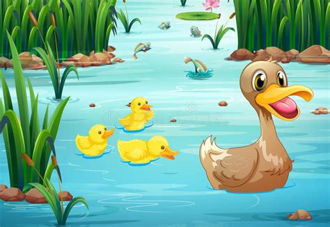Duck In Pond Clipart 20 Free Cliparts Download Images On Clipground 2023