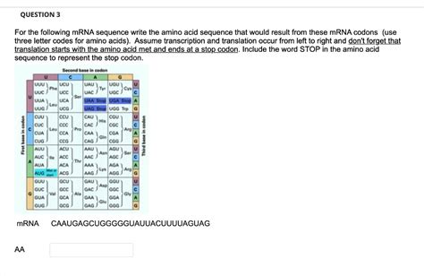 Solved Question 3 For The Following Mrna Sequence Write The Amino