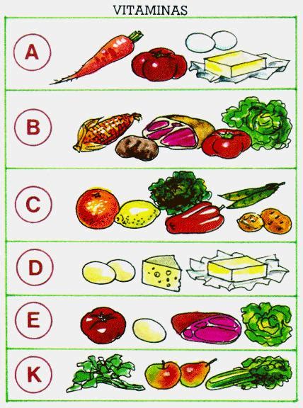 Por lo tanto, es importante incluir muchos alimentos que contengan esta vitamina en la dieta cocer los alimentos ricos en vitamina c o almacenarlos durante un período de tiempo largo. Logística Hospitalar e Saúde: Alimentos e Vitaminas para ...