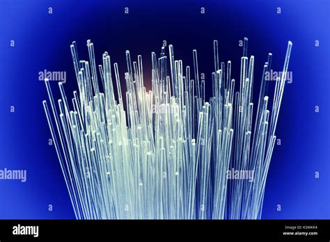 Fiber Optic Cables Stock Photo Alamy