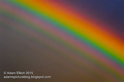 Driftwood Supernumerary Rainbow