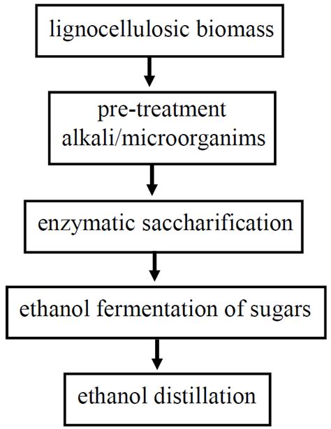 Scheme Of Bioethanol Production By Alcoholic Fermentation Of