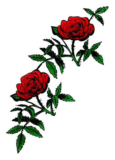 Connect your leaves with the bud that will eventually serve as your stem connector. Rose Stem Clipart | Free download on ClipArtMag