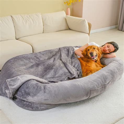 Stock Photo For Reference Onlyhuman Dog Bed For People Adultsfaux