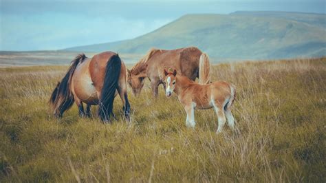 Unmasked Treasures: Portugal's Hidden Gems Await! • XperiencePortugal.co