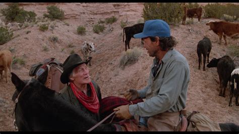 City Slickers (1991) Screencap | Fancaps
