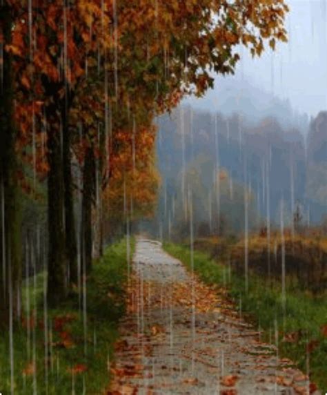 Pin By Nurten On YaĞmur Her Mevsim Yağan Rahmet Damlaları️☔ Autumn