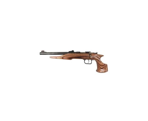 Davey Crickett 40004 Chipmunk Hunter Pistol Ranier Gun Store